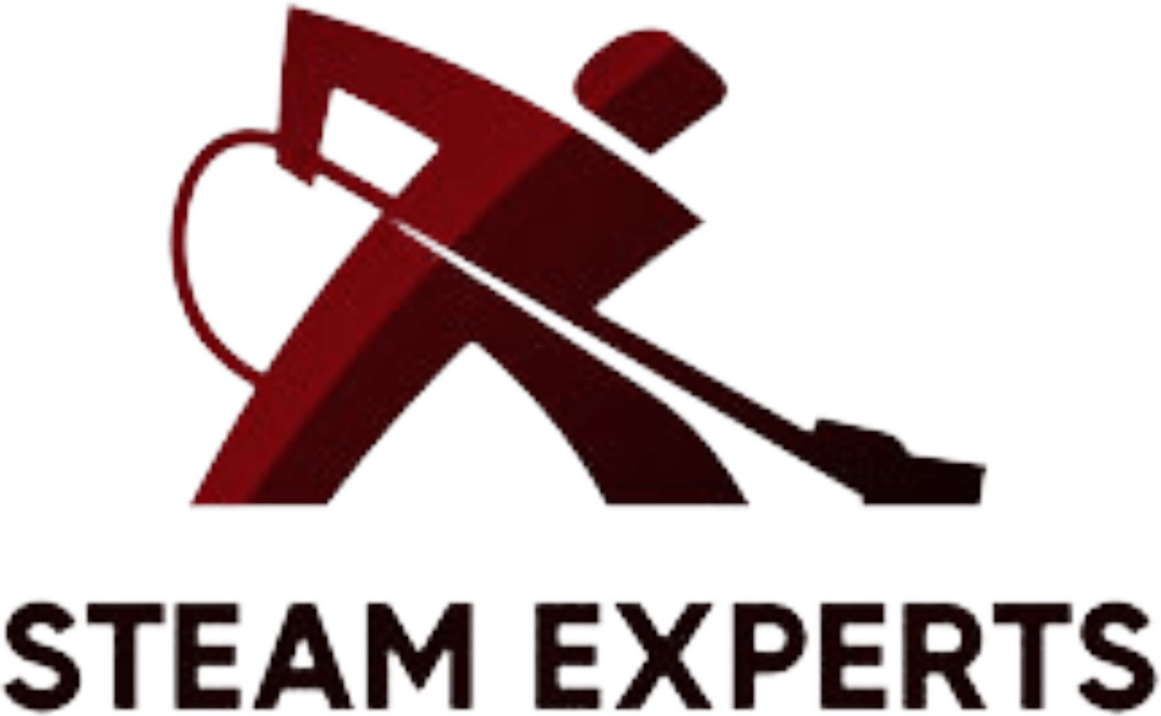 steam_expert_logo