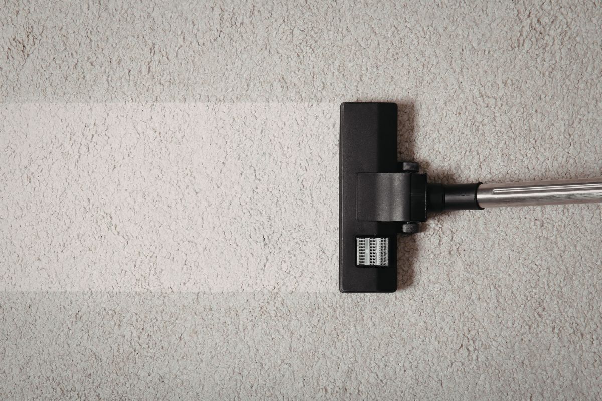 Deep carpet steam cleaning in Sydney removing dirt stains and allergens