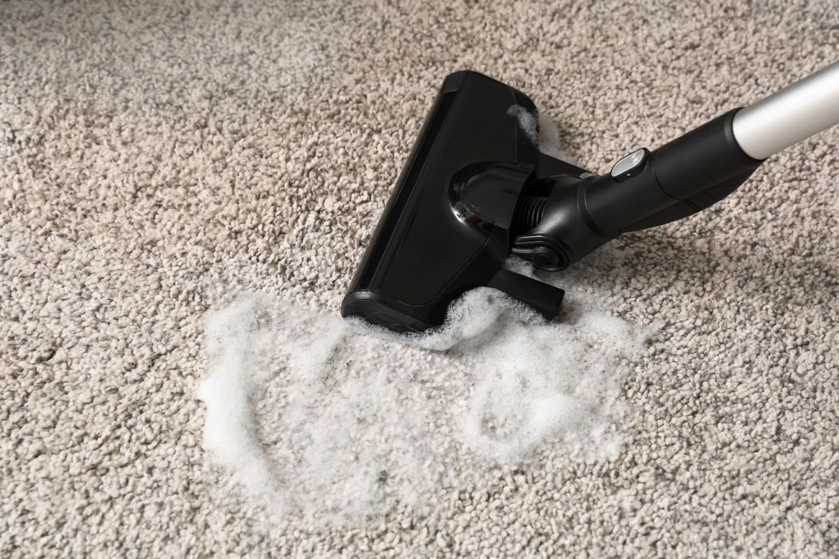 Deep carpet stain removal in Melbourne through professional steam cleaning
