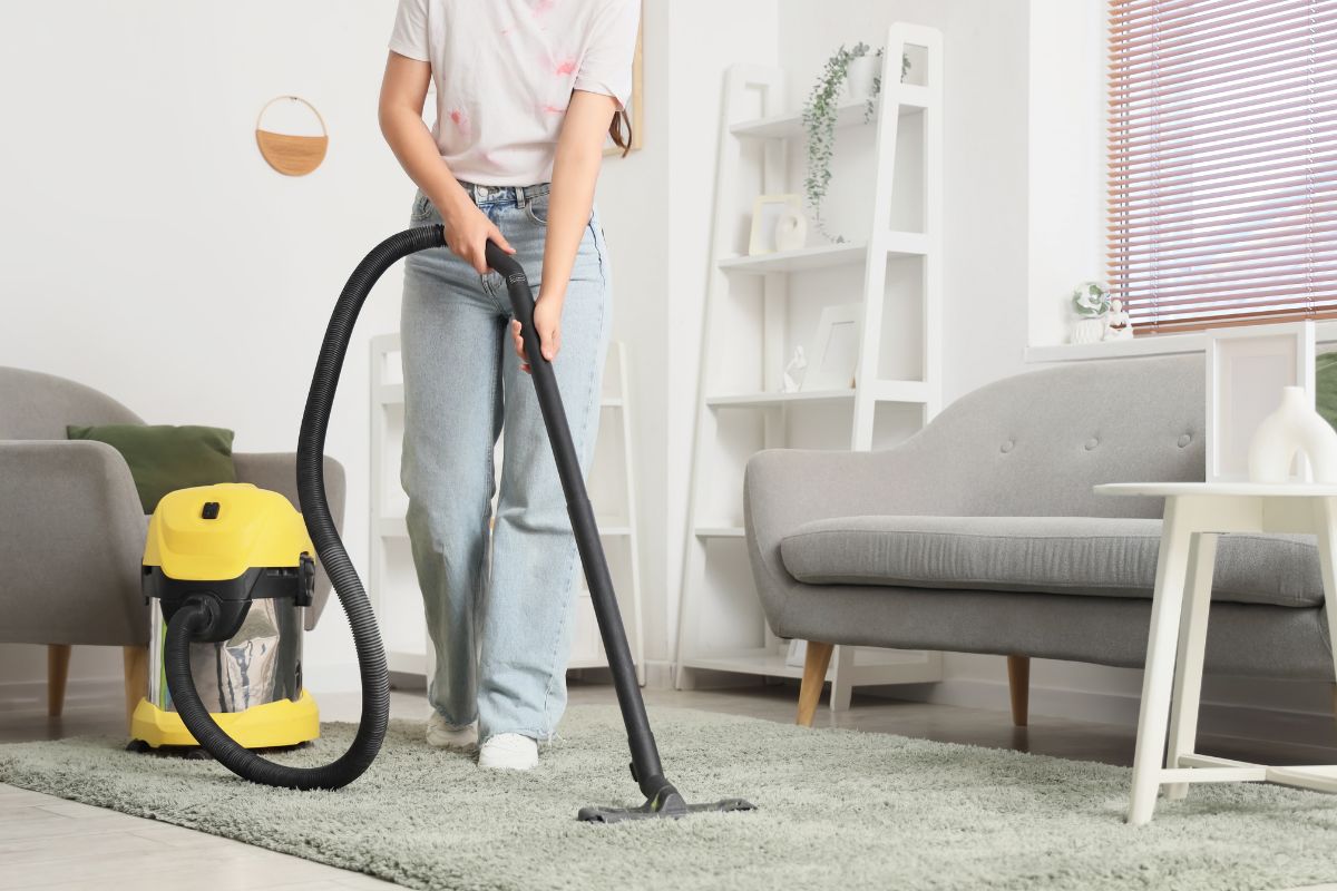 Professional steam cleaning Canberra technician deep cleaning residential carpet using hot water extraction