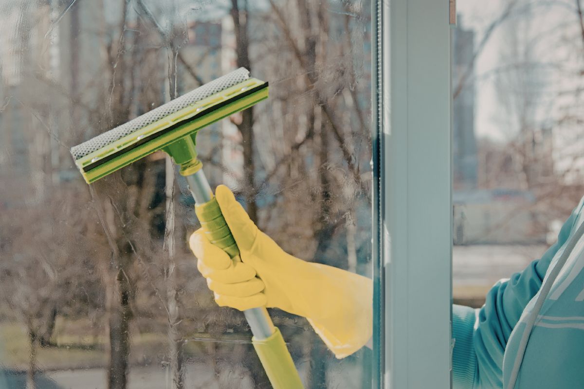 clean and clear windows after professional window cleaning service in Brisbane