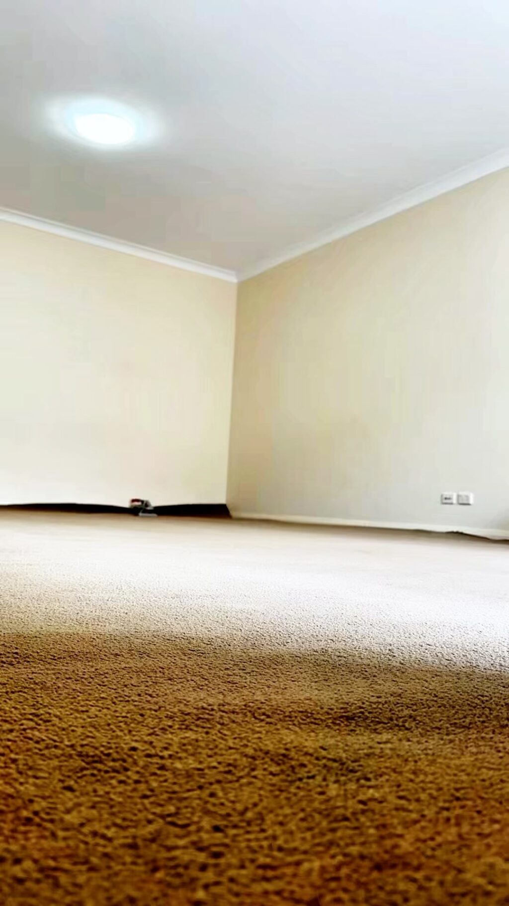 Instagram post from steamexpertsau. This post is in position 3.